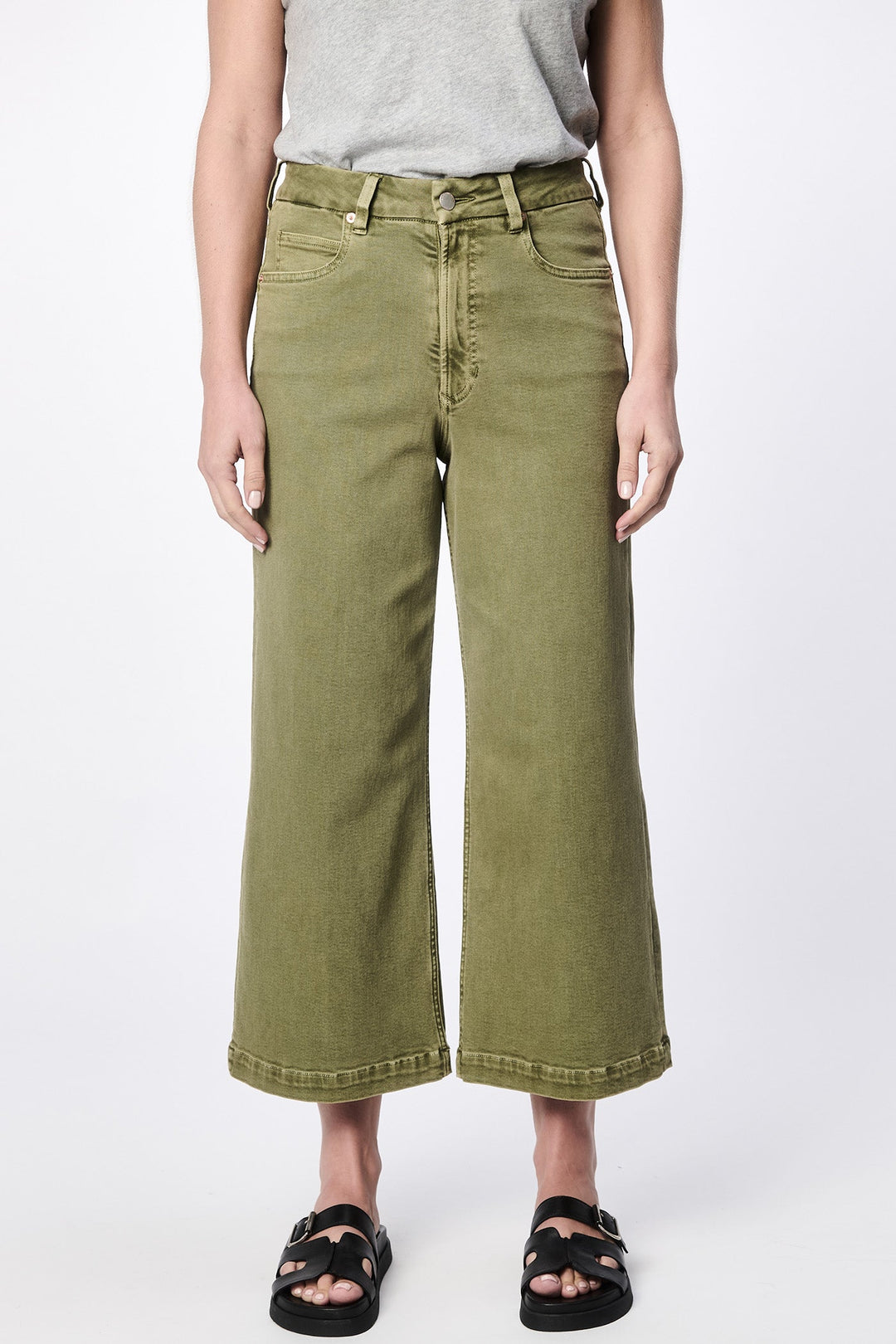 OLIVE BRANCH-DPM55C295OIB-1