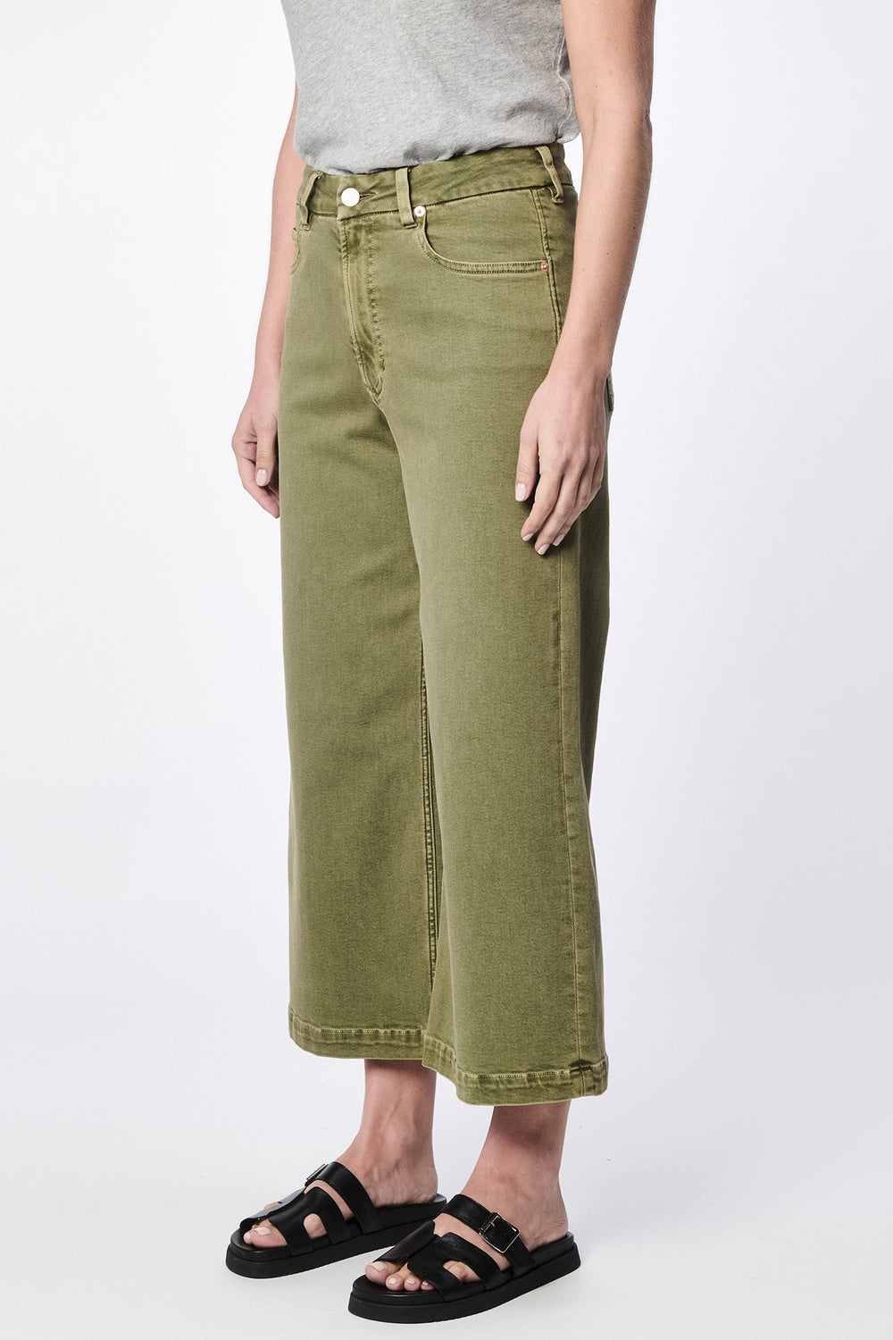 OLIVE BRANCH-DPM55C295OIB-2