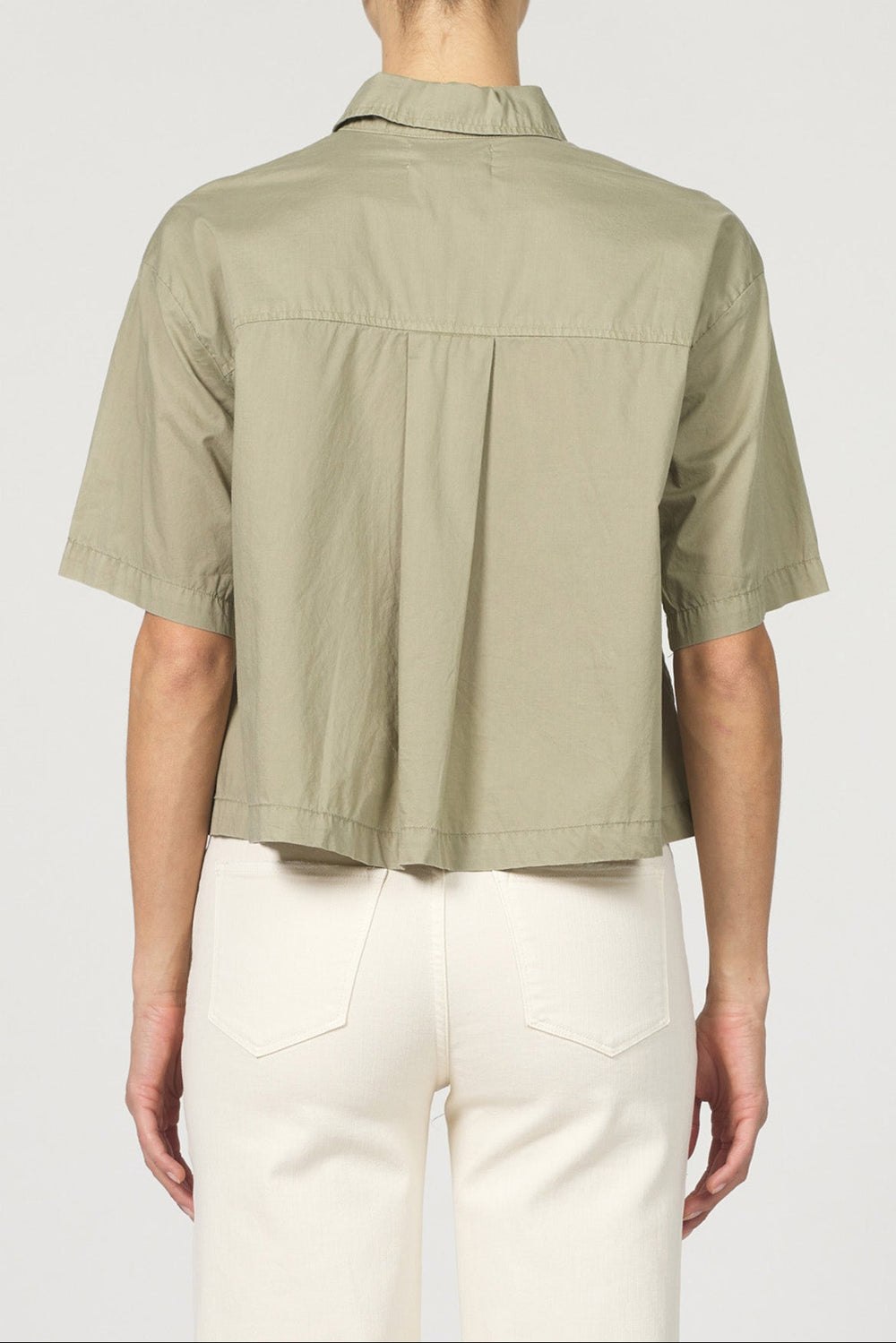 OLIVE BRANCH-DSH1449M9OIB-4