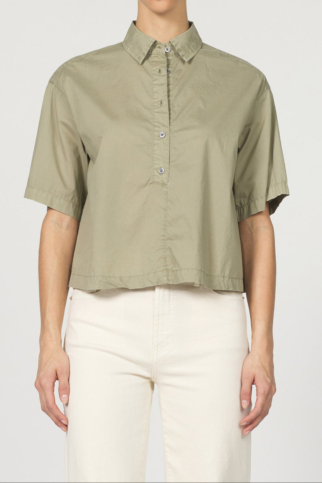 OLIVE BRANCH-DSH1449M9OIB-1